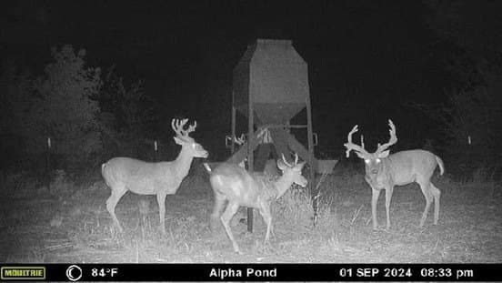 282.44 acres in Cooke County - photo 21