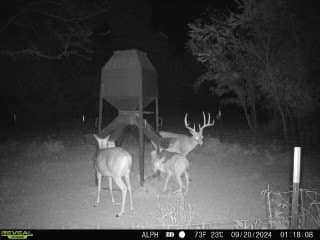 282.44 acres in Cooke County - photo 22