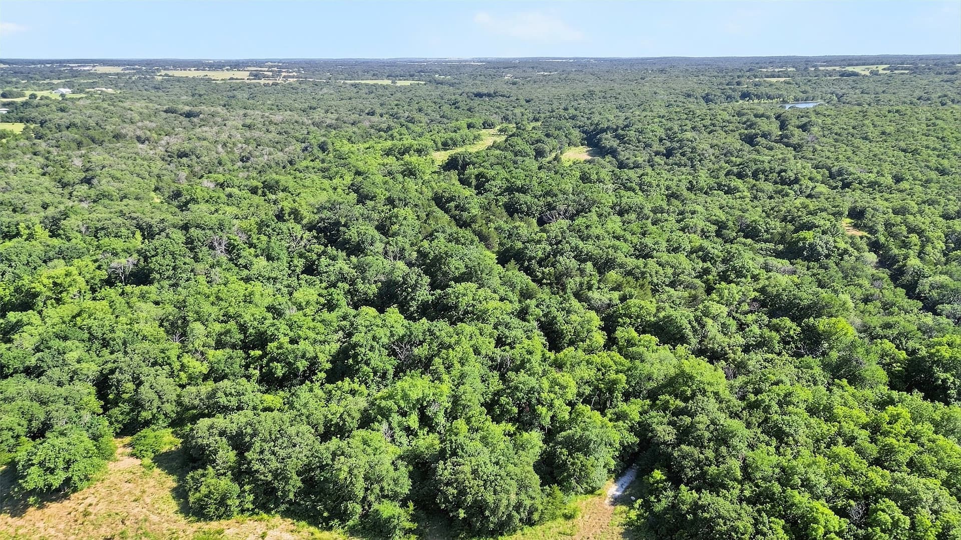 282.44 acres in Cooke County - photo 13