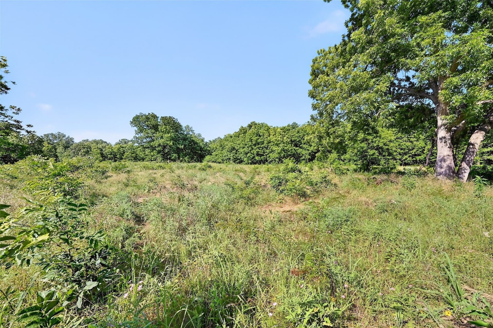 282.44 acres in Cooke County - photo 18