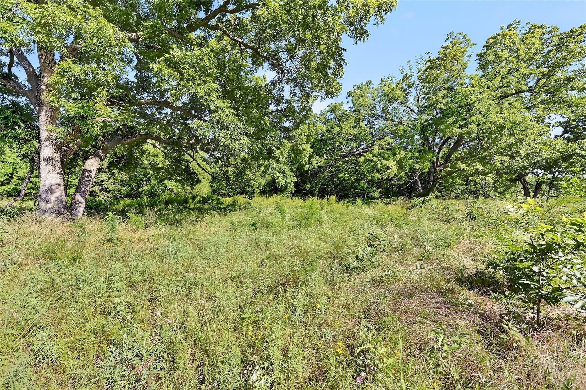 282.44 acres in Cooke County - photo 19