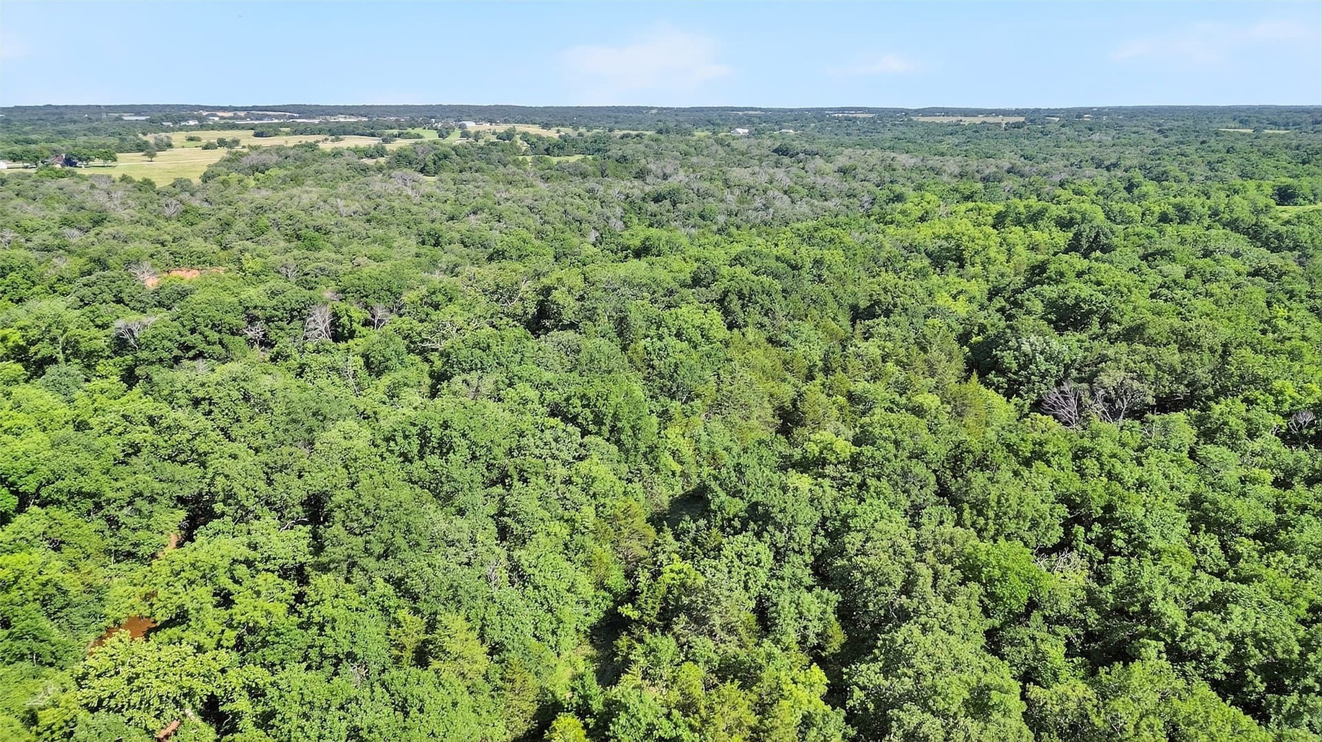 282.44 acres in Cooke County - photo 12