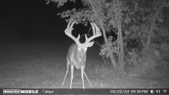 282.44 acres in Cooke County - photo 20