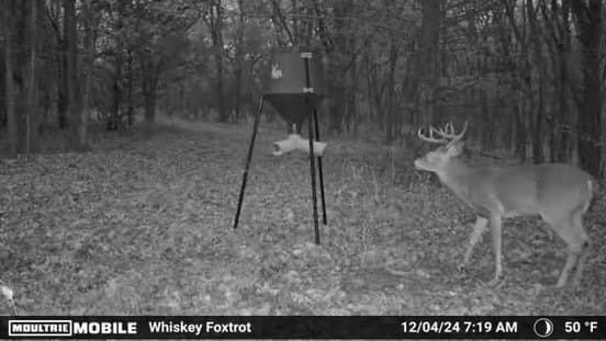 282.44 acres in Cooke County - photo 24