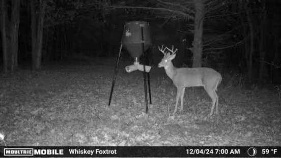 282.44 acres in Cooke County - photo 23