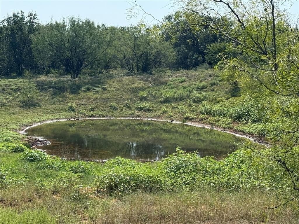 22 acres in Young County gallery image 4