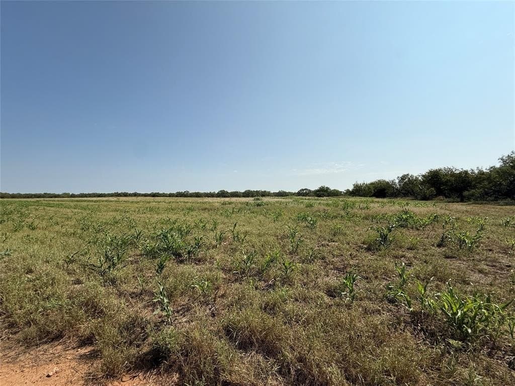 22 acres in Young County gallery image 3