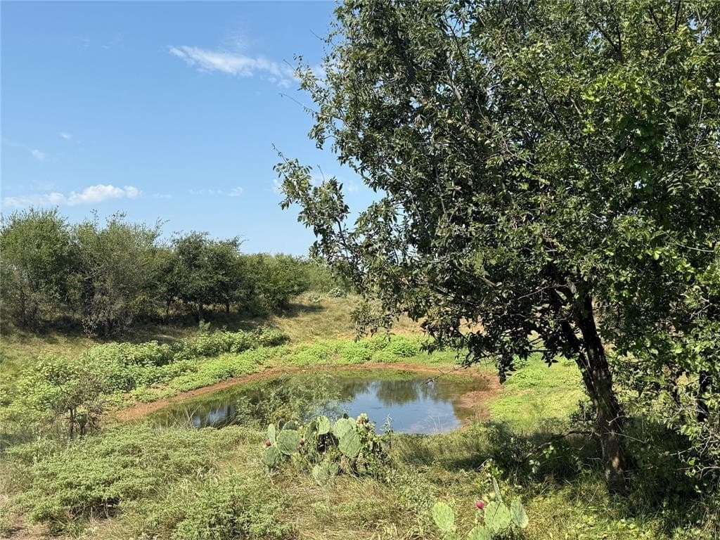 22 acres in Young County