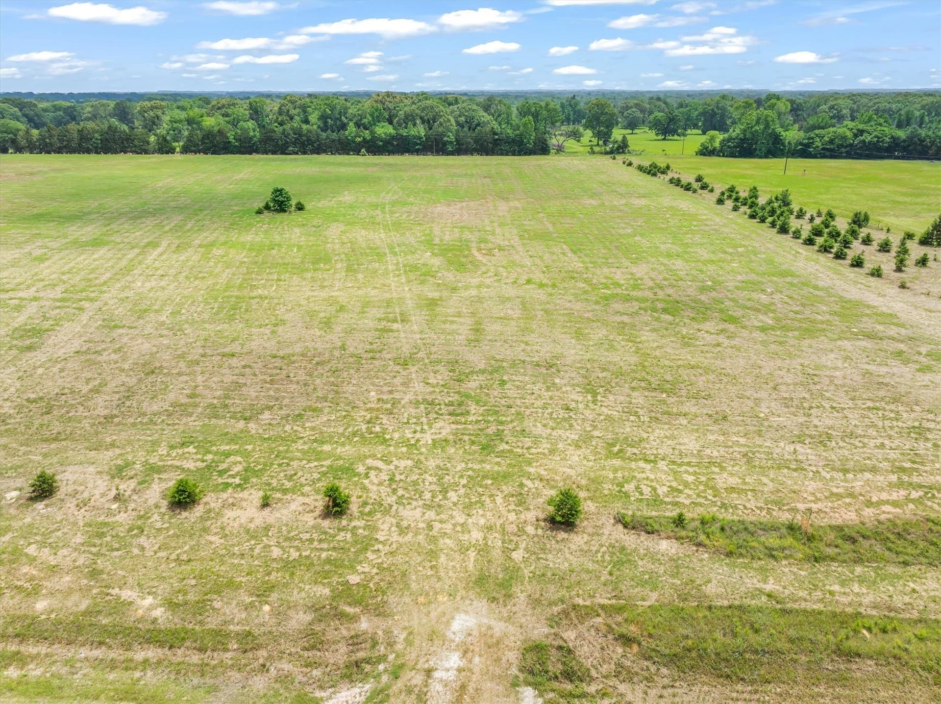 10 acres in Van Zandt County gallery image 2