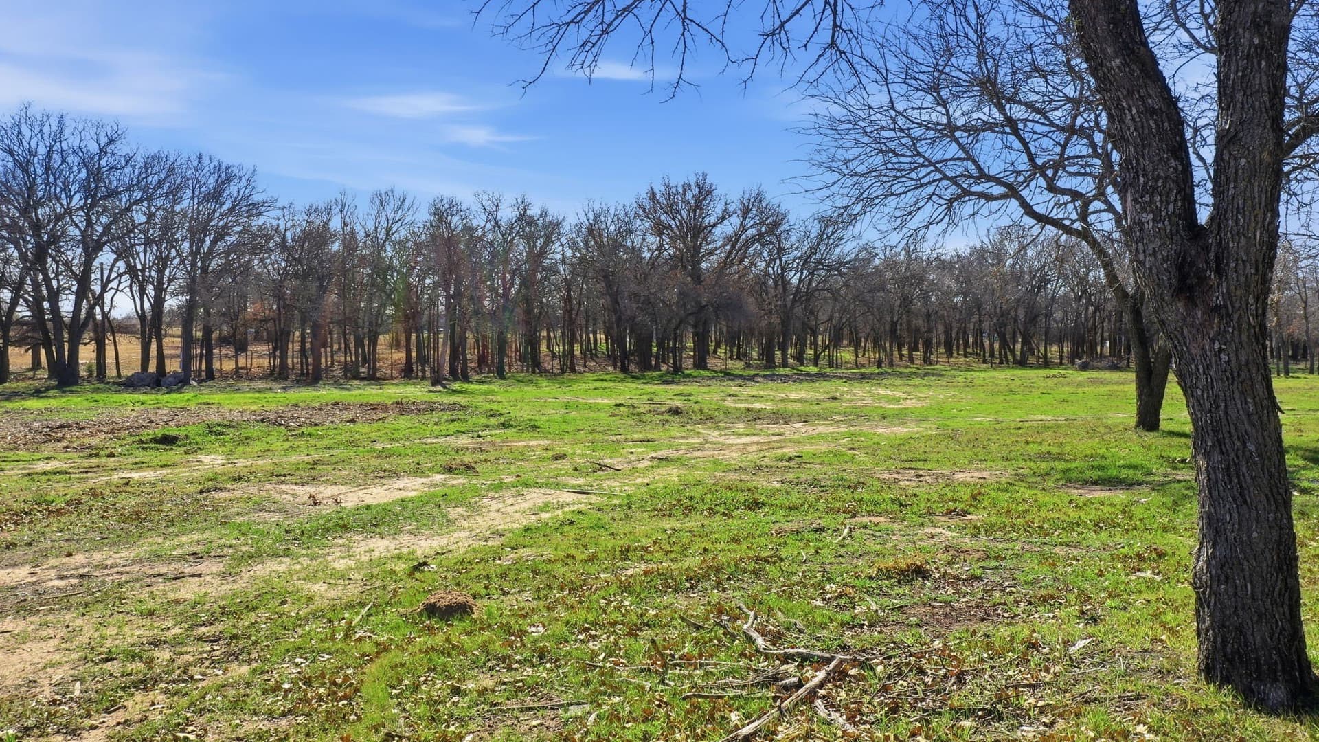 5.29 acres in Parker County - photo 16