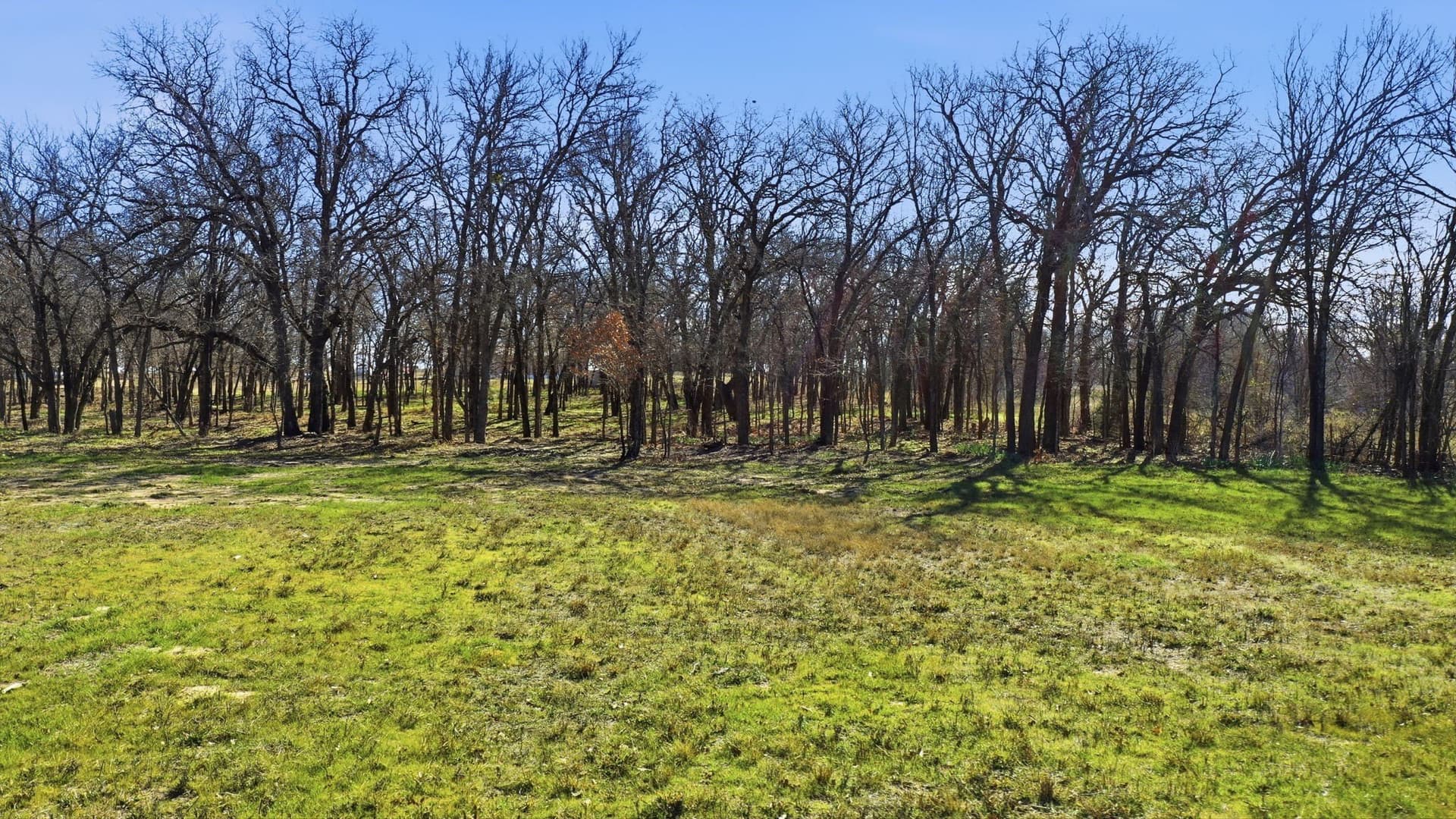 5.29 acres in Parker County - photo 10