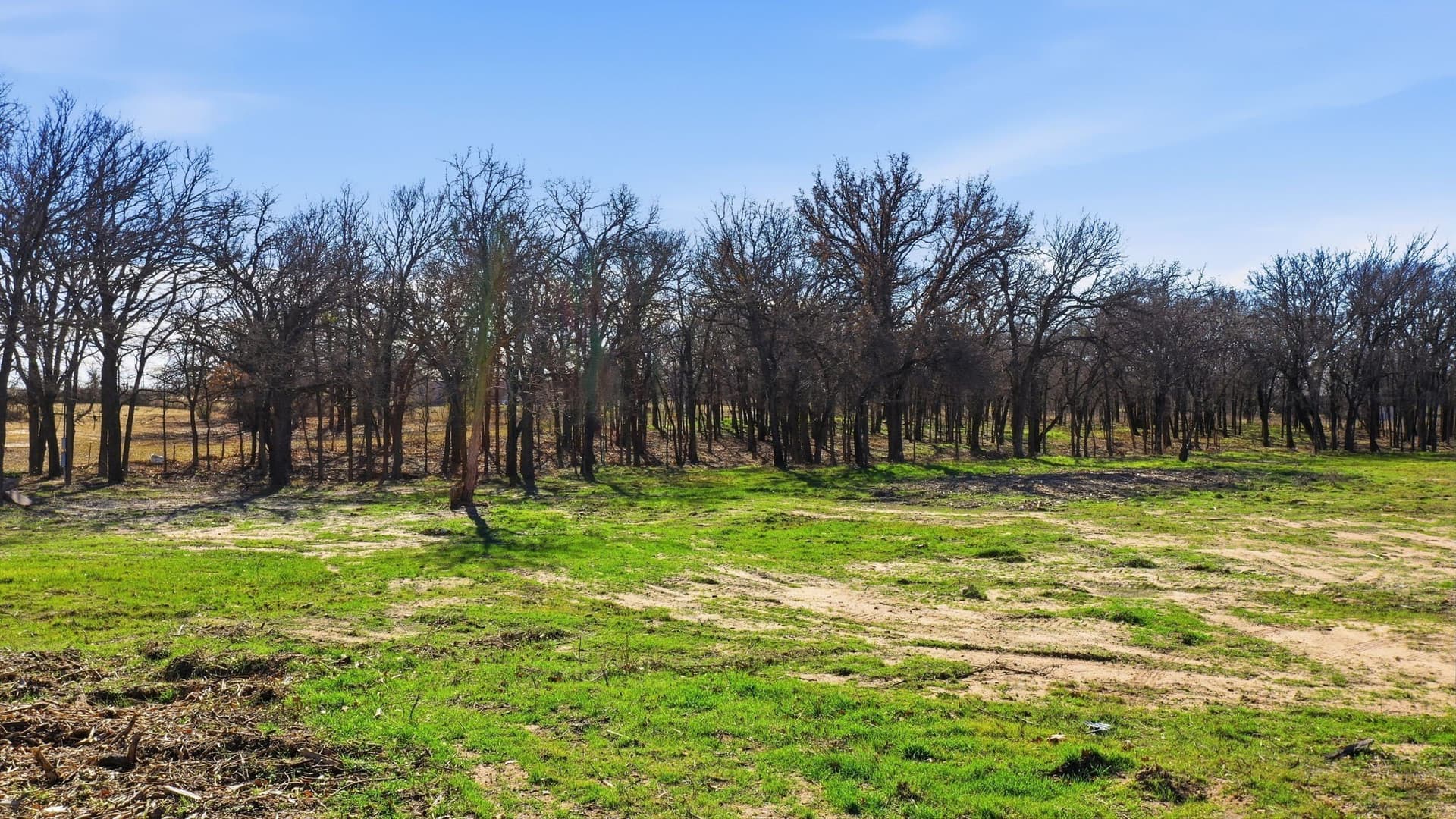 5.29 acres in Parker County - photo 15