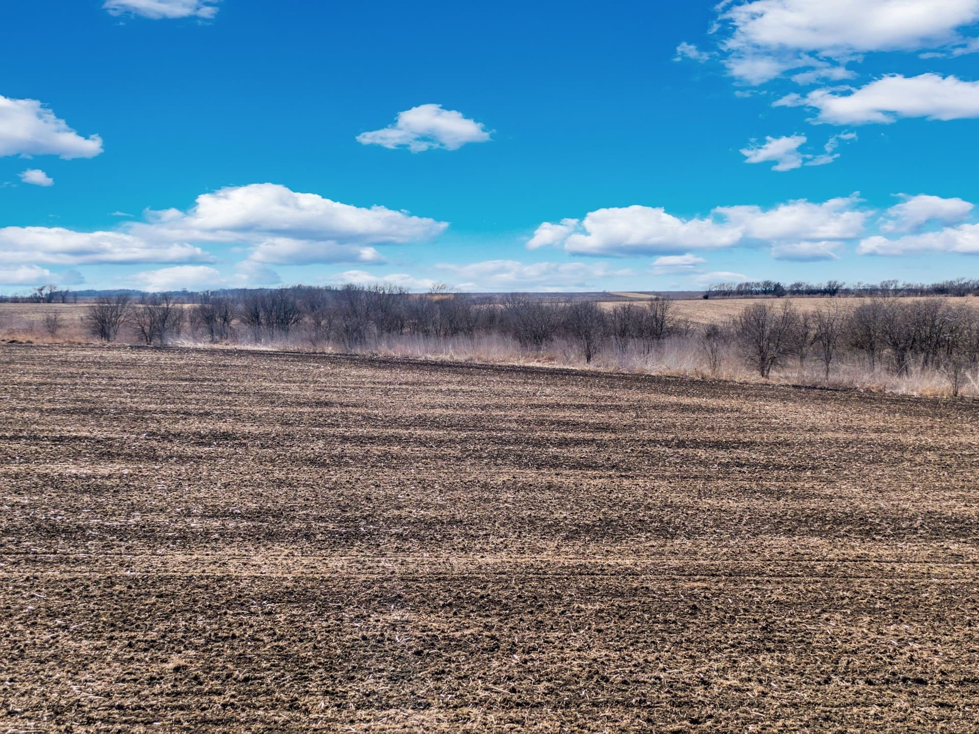 59.35 acres in Ellis County - photo 20