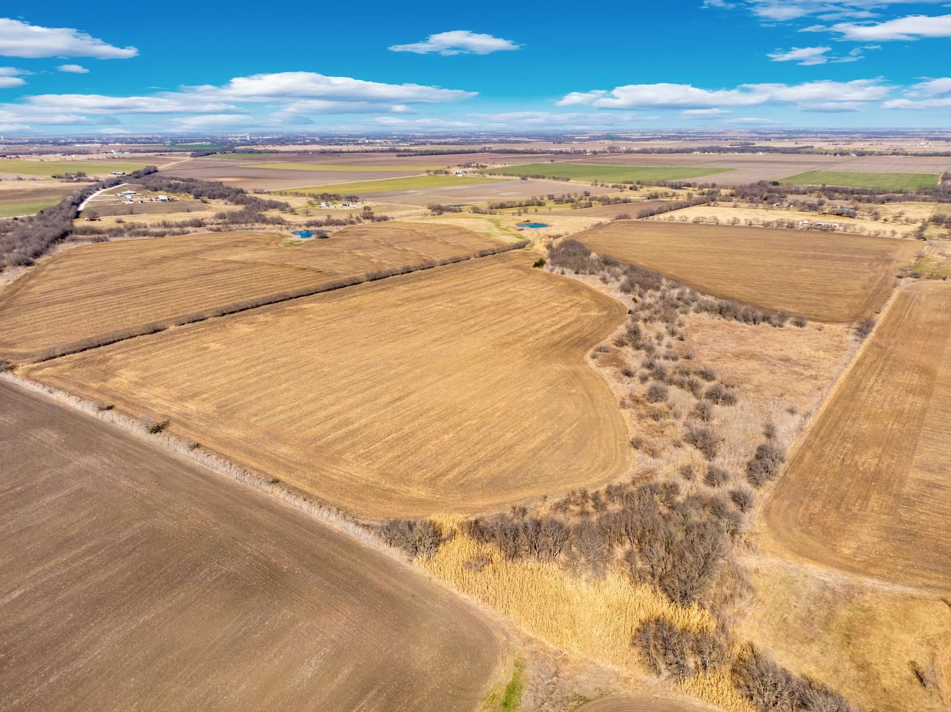 59.35 acres in Ellis County - photo 4