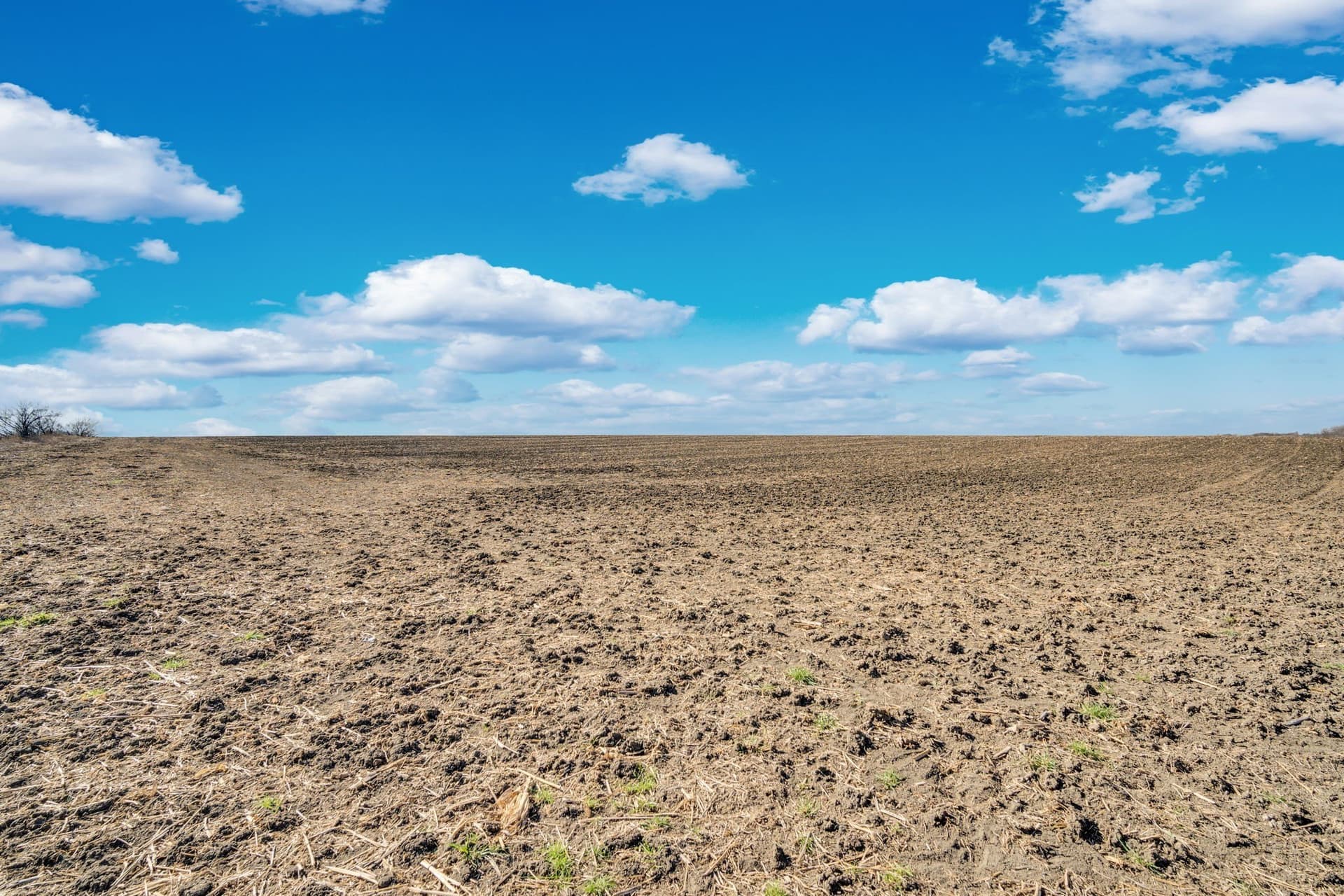 59.35 acres in Ellis County - photo 12