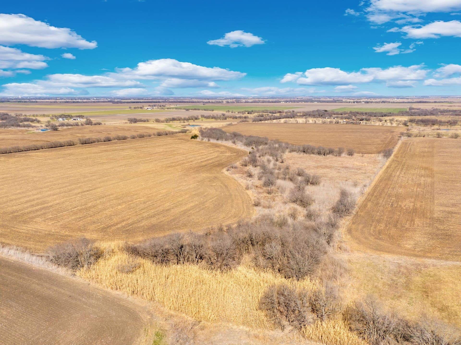 59.35 acres in Ellis County - photo 3