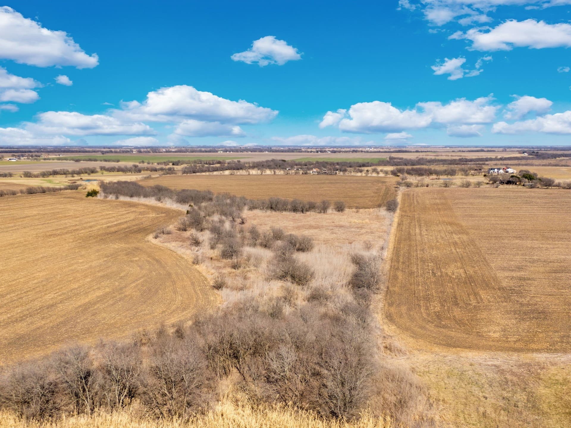 59.35 acres in Ellis County - photo 7