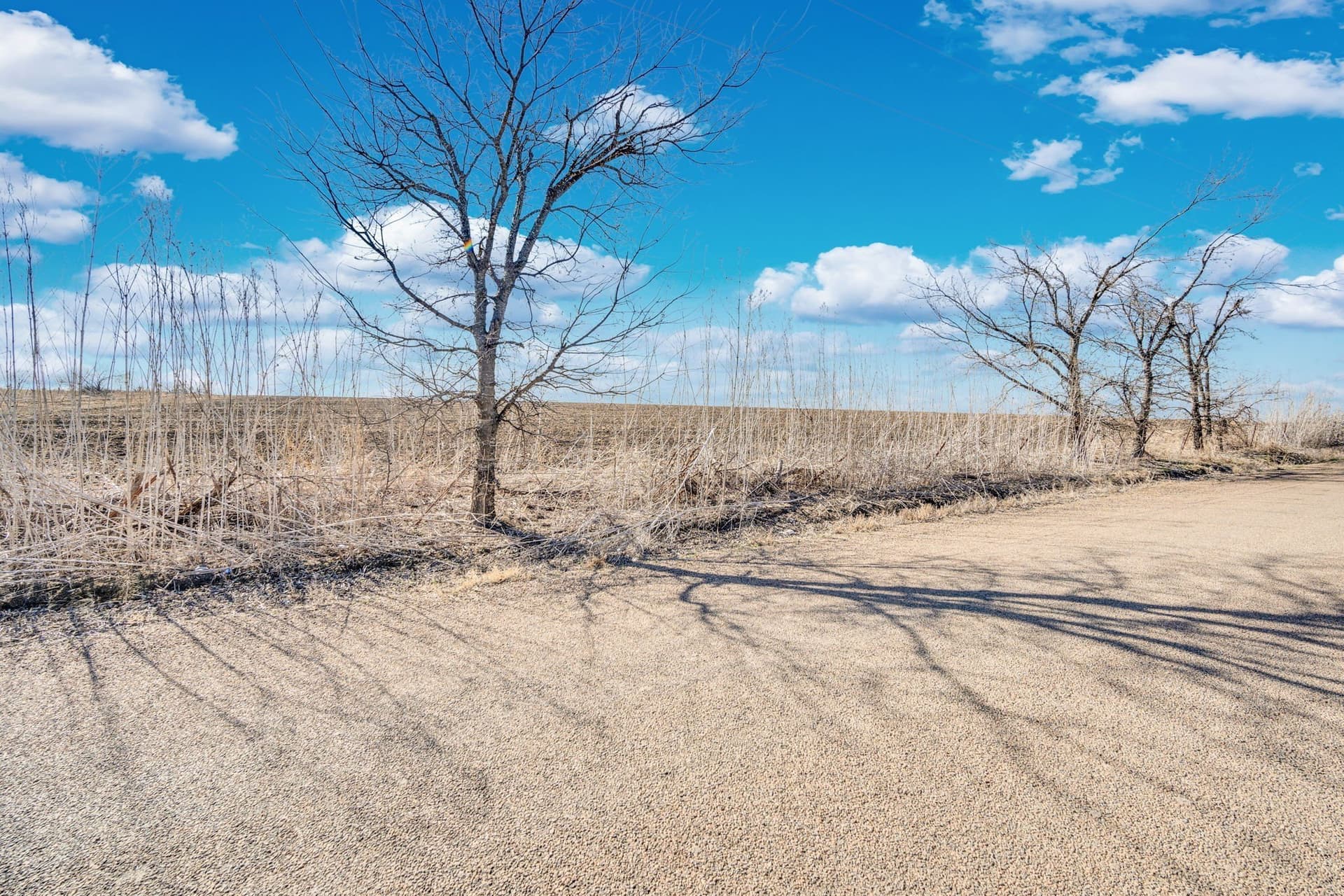 59.35 acres in Ellis County - photo 23