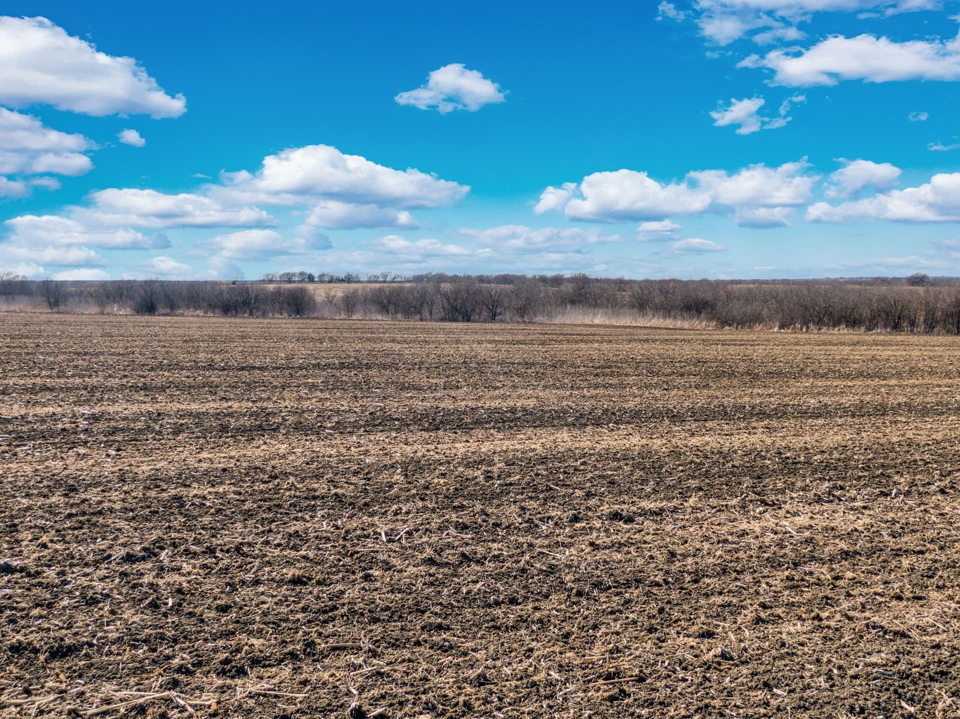 59.35 acres in Ellis County - photo 24