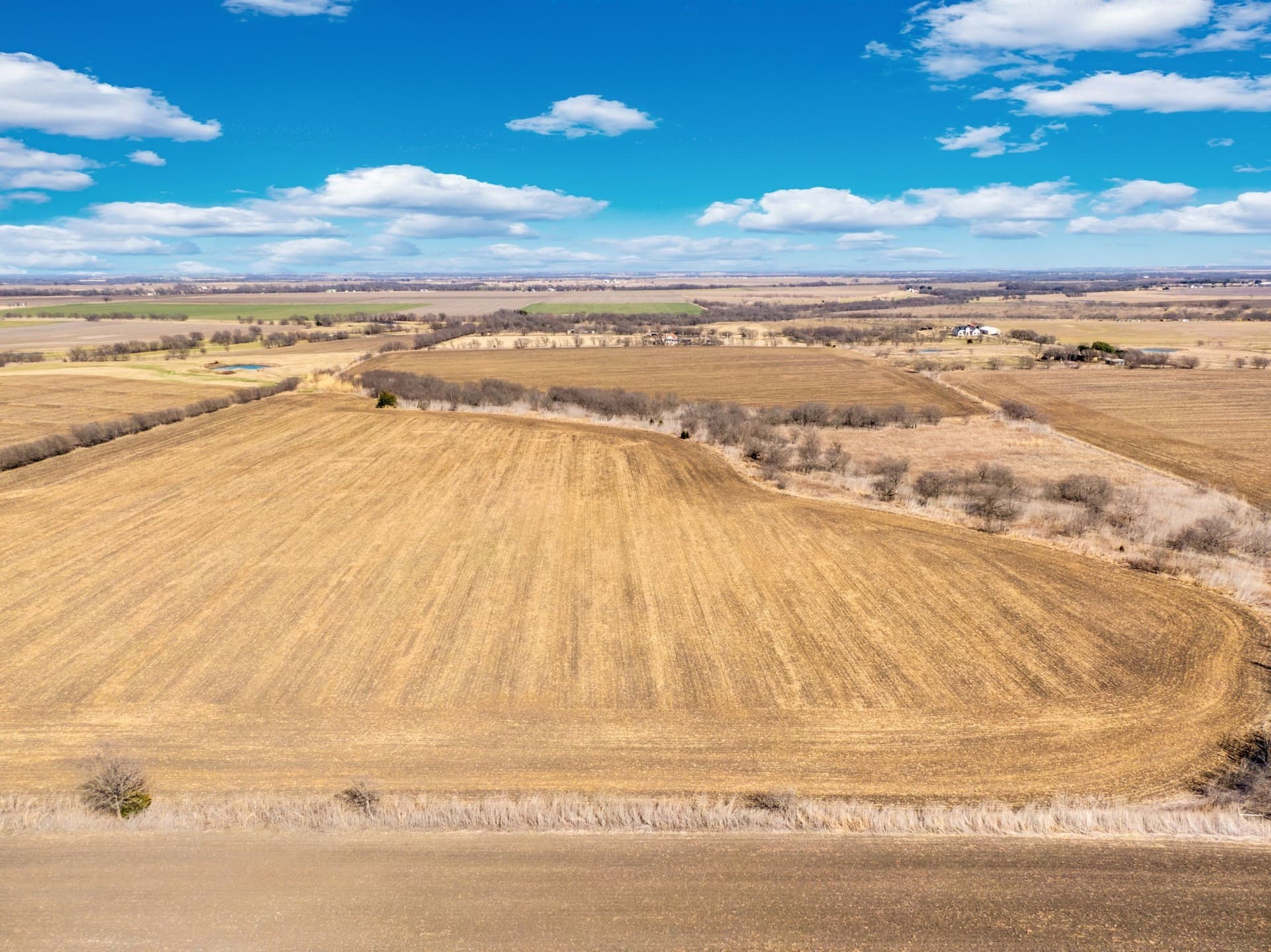 59.35 acres in Ellis County - photo 6