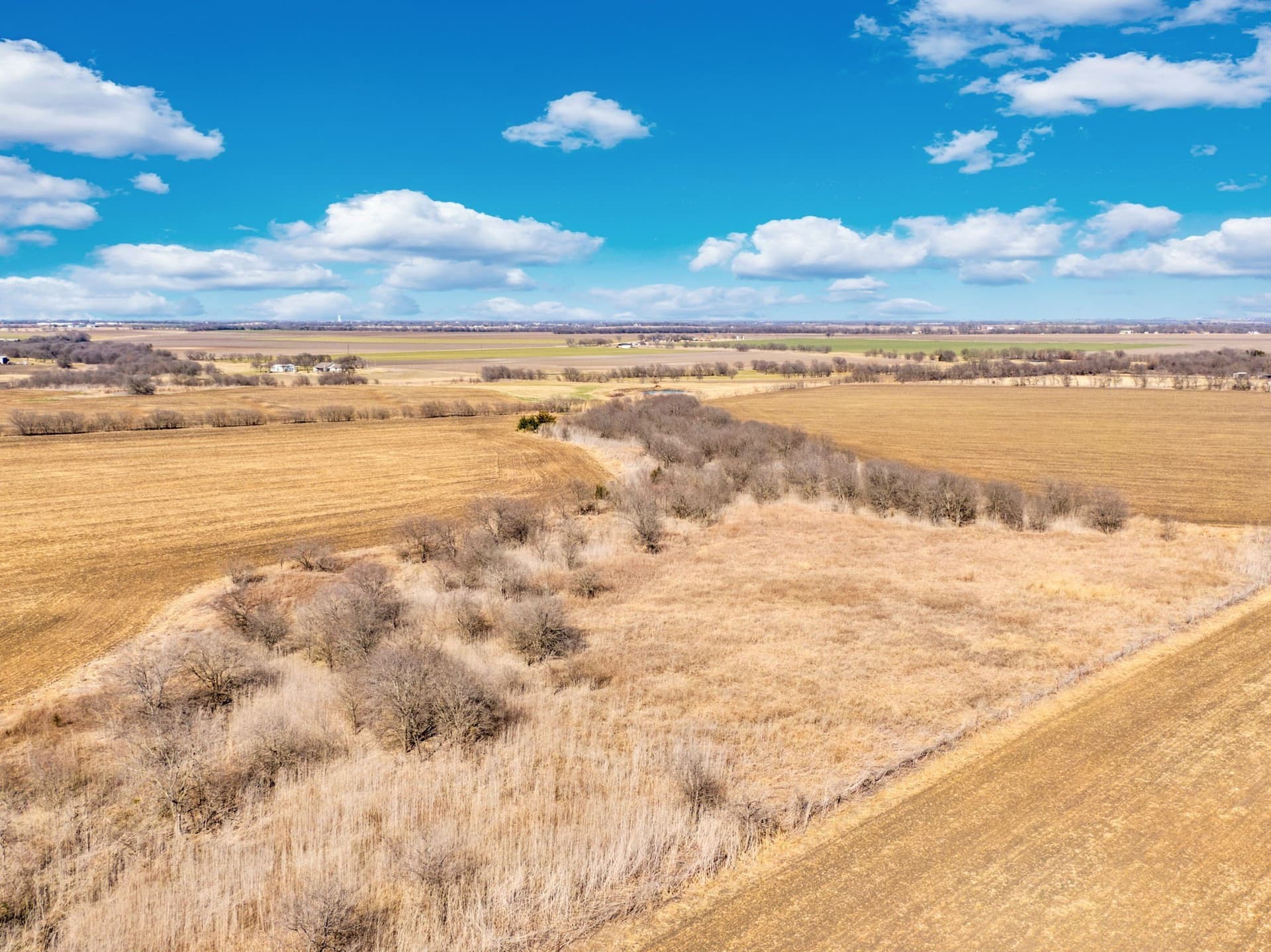 59.35 acres in Ellis County - photo 8
