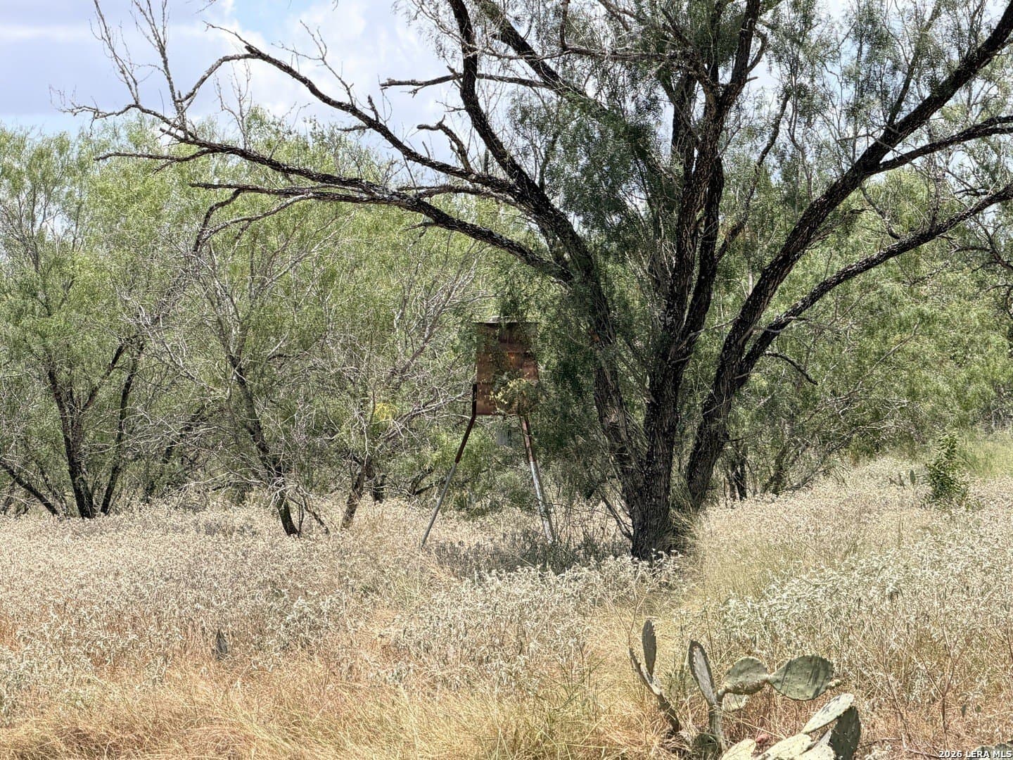 11.03 acres in Atascosa County - photo 13