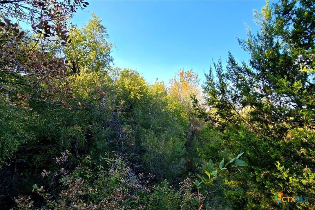 12.16 acres in Bell County - photo 34