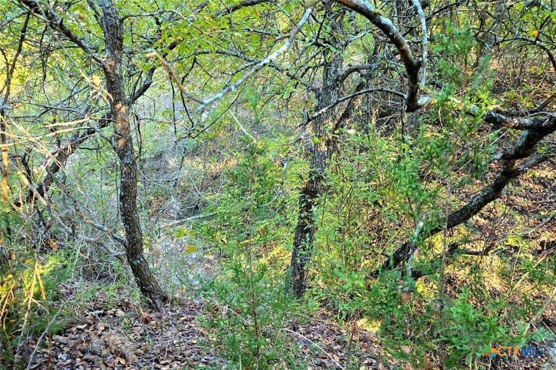 12.16 acres in Bell County - photo 33