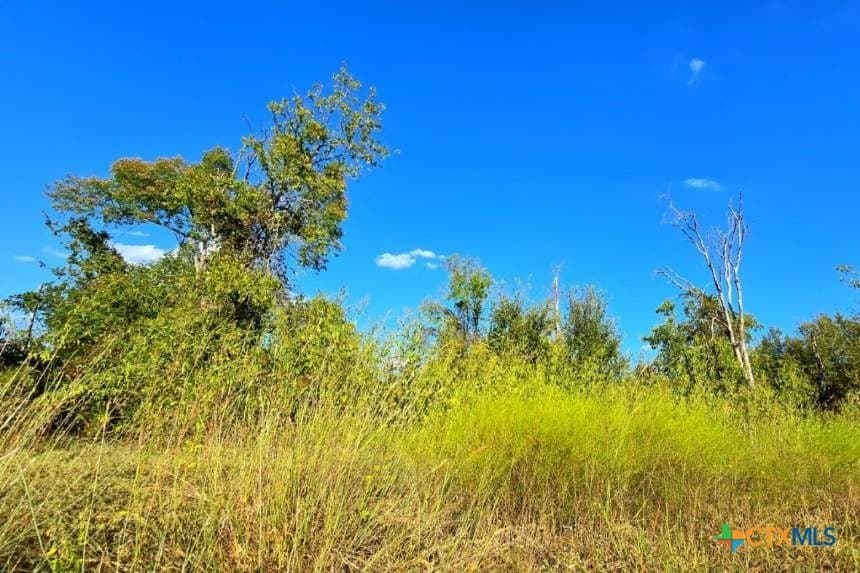 12.16 acres in Bell County - photo 31