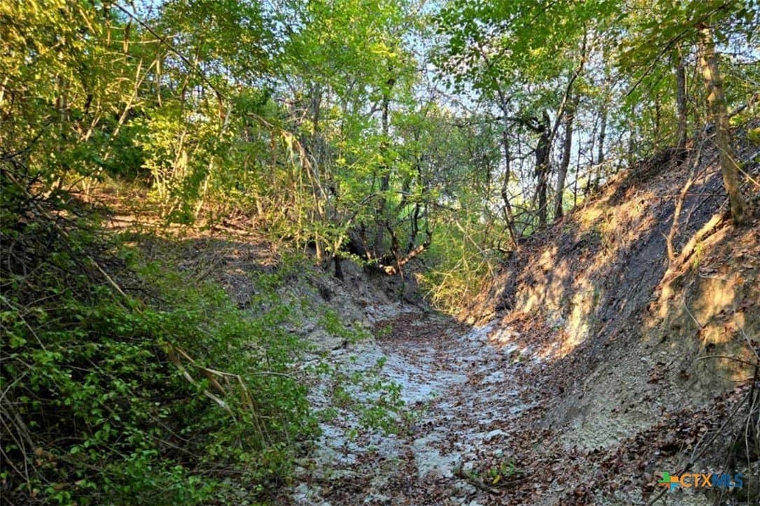 12.16 acres in Bell County - photo 32