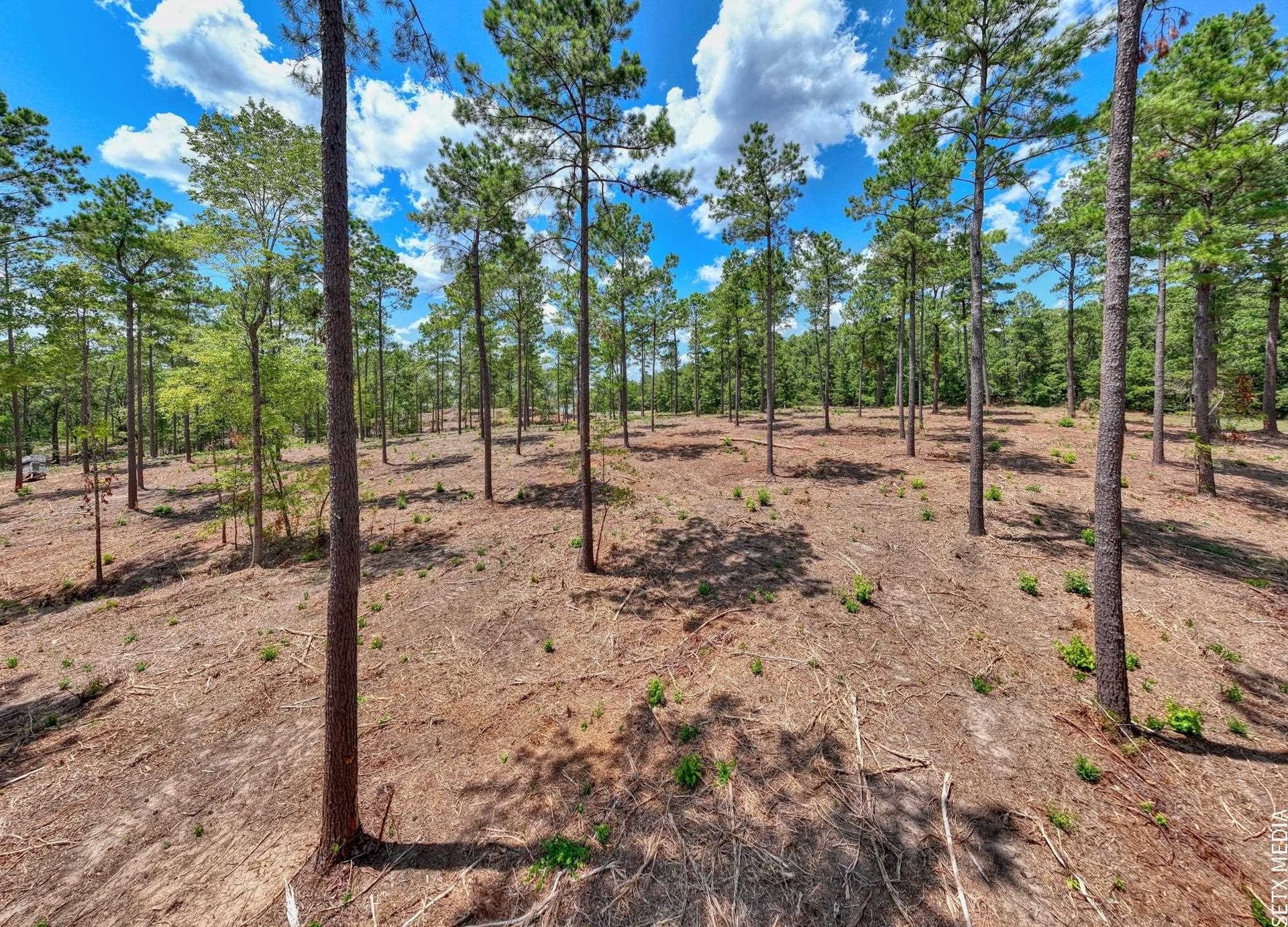 2.2 acres in Texas County - photo 9