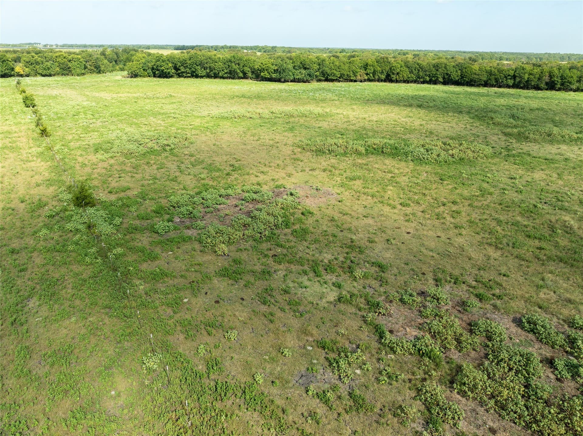 90 acres in Delta County - photo 4