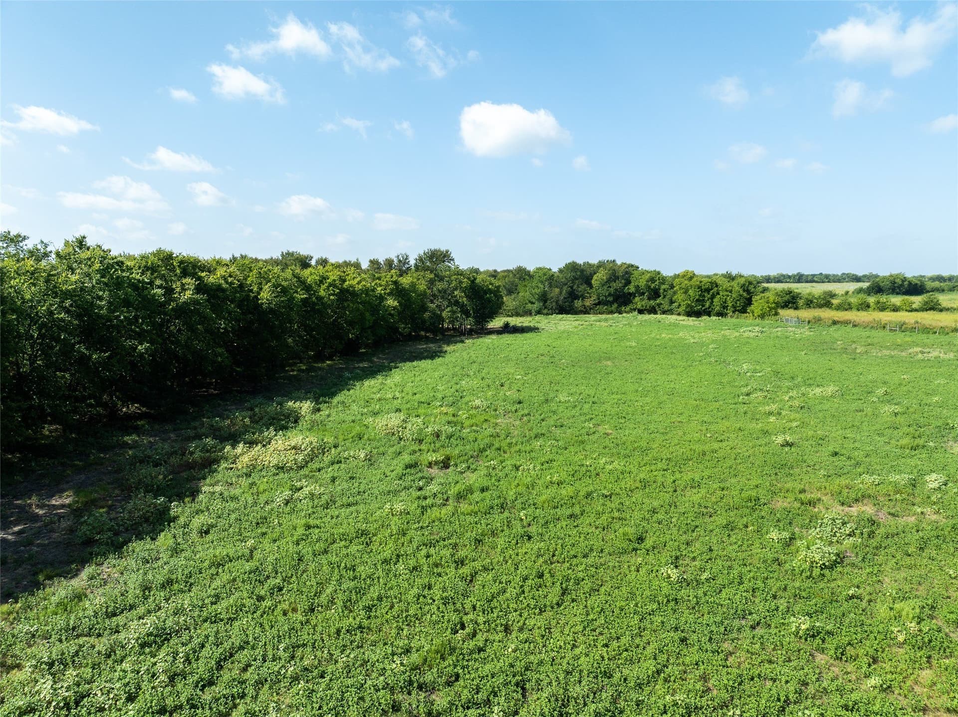 90 acres in Delta County - photo 8