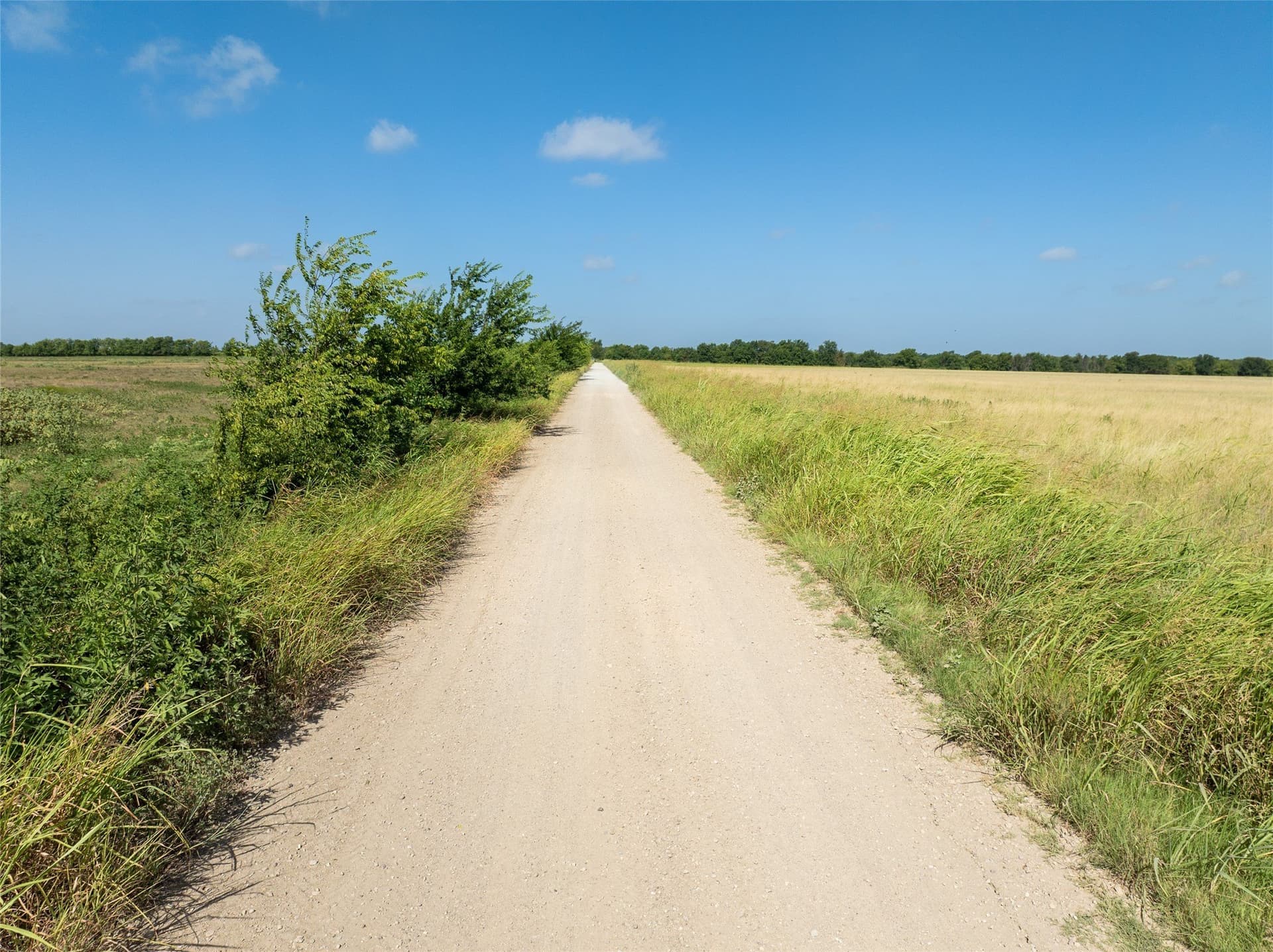 90 acres in Delta County - photo 13
