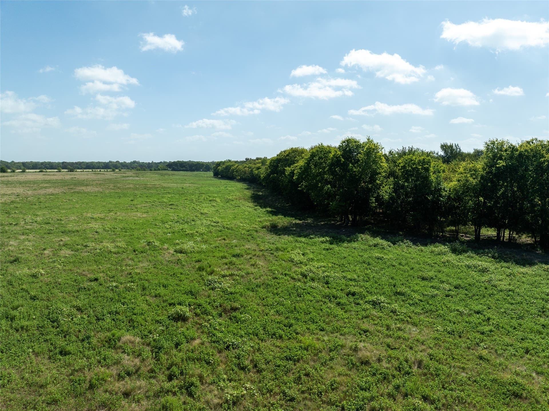 90 acres in Delta County - photo 7