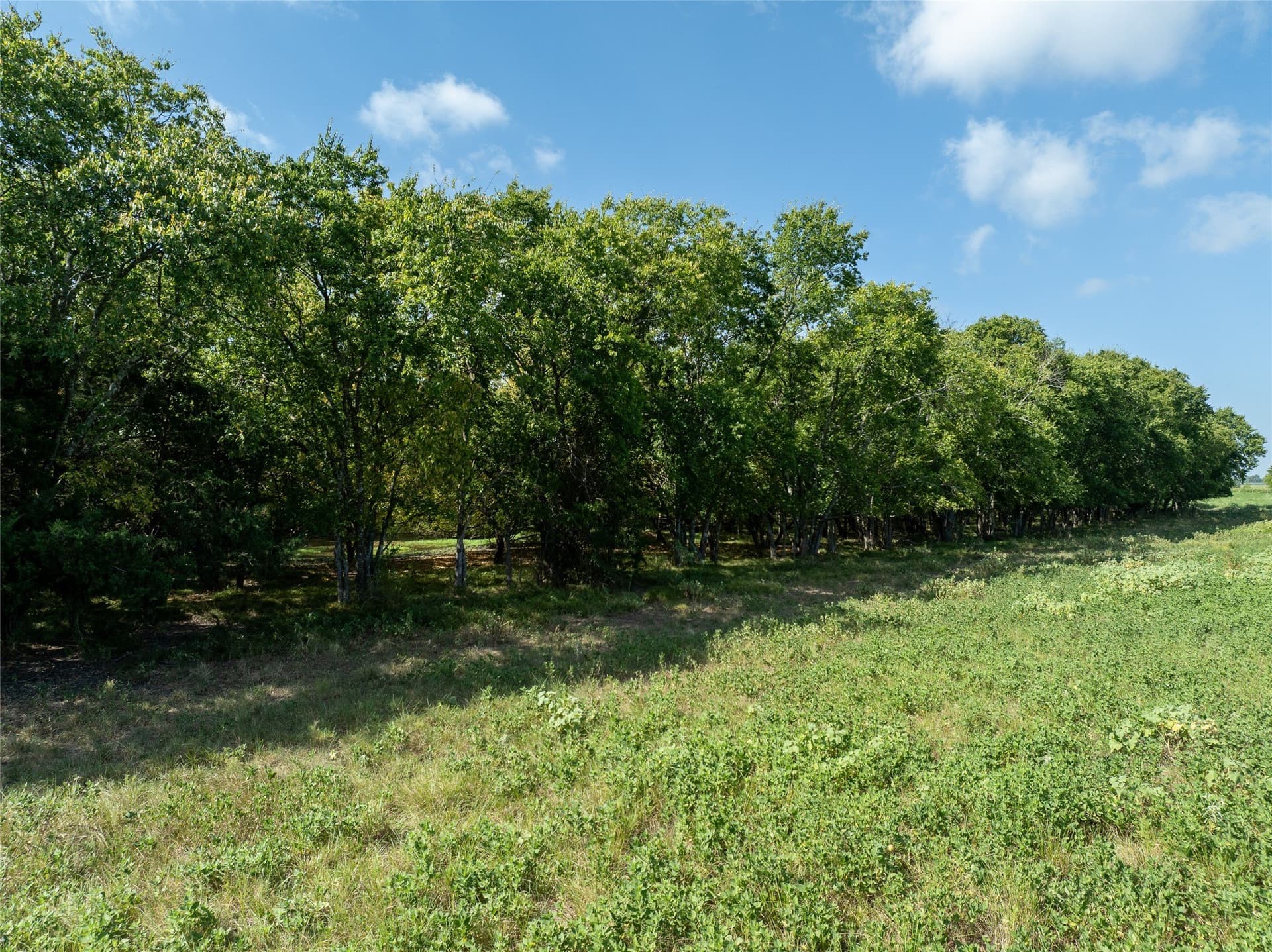 90 acres in Delta County - photo 10