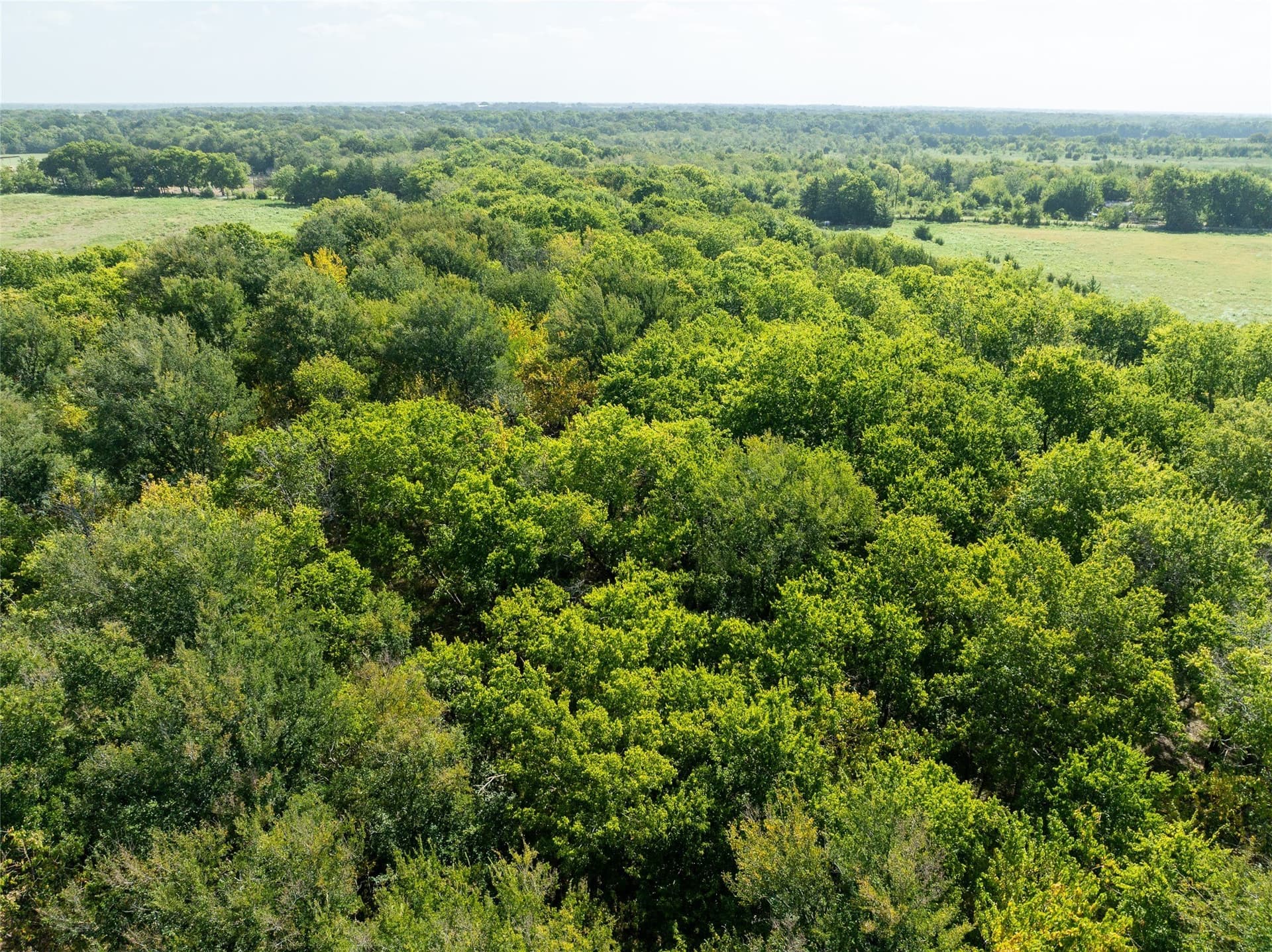 90 acres in Delta County - photo 12