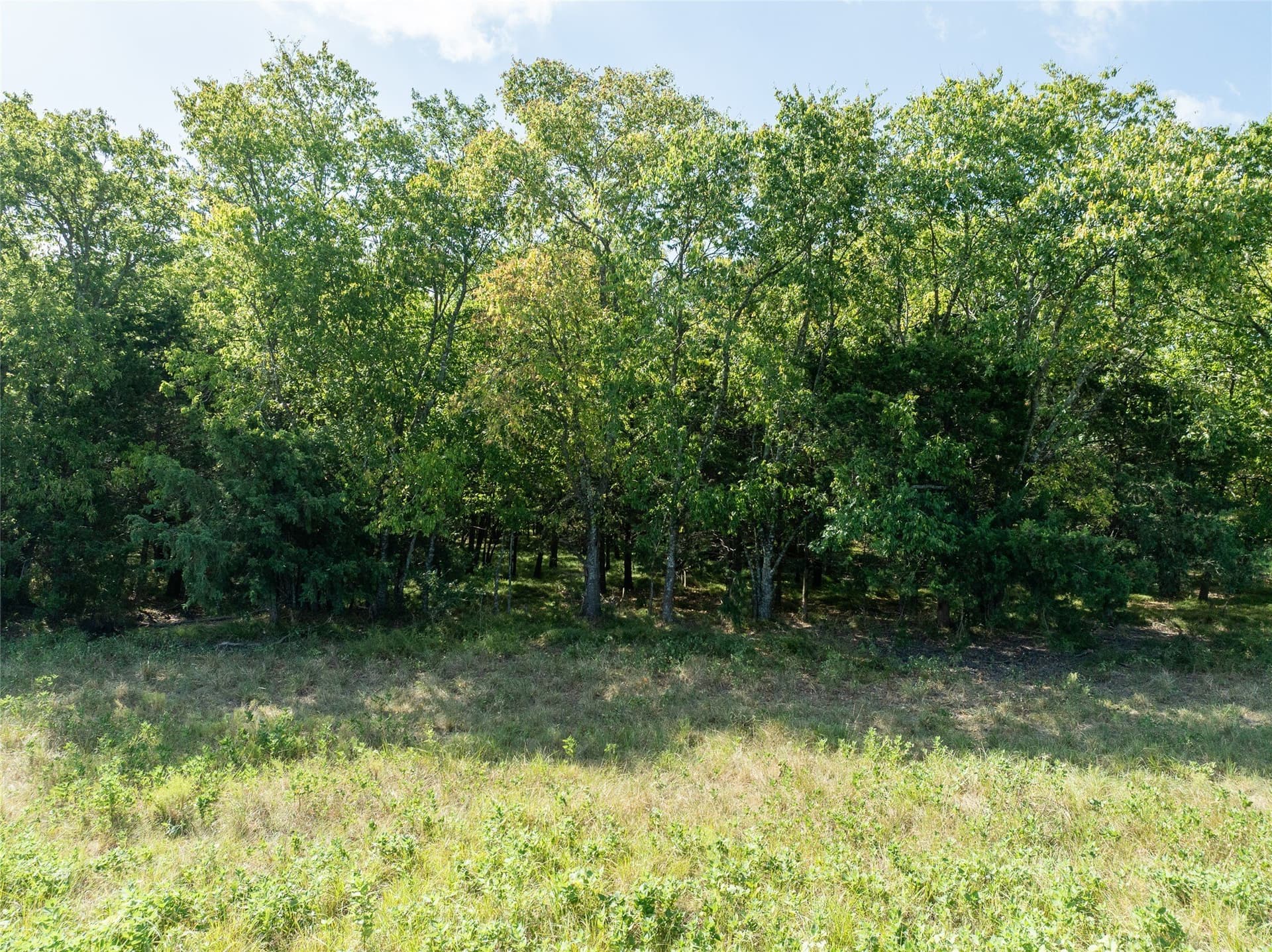 90 acres in Delta County - photo 9