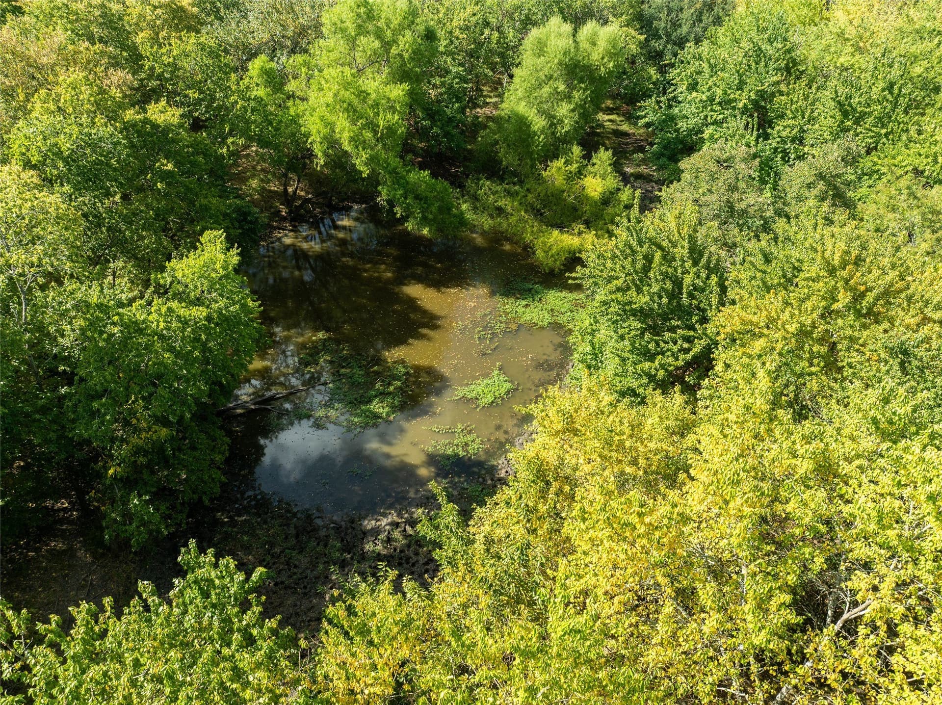90 acres in Delta County - photo 11