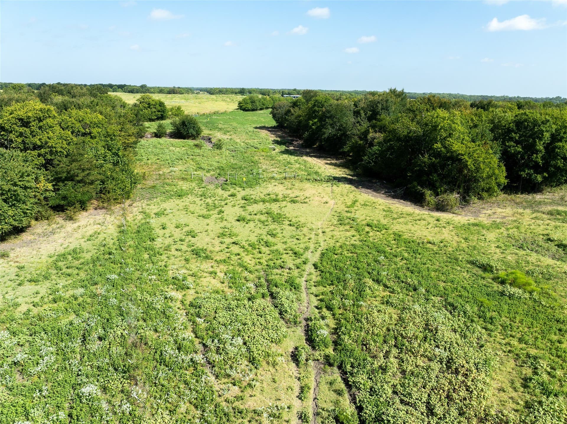 90 acres in Delta County - photo 5