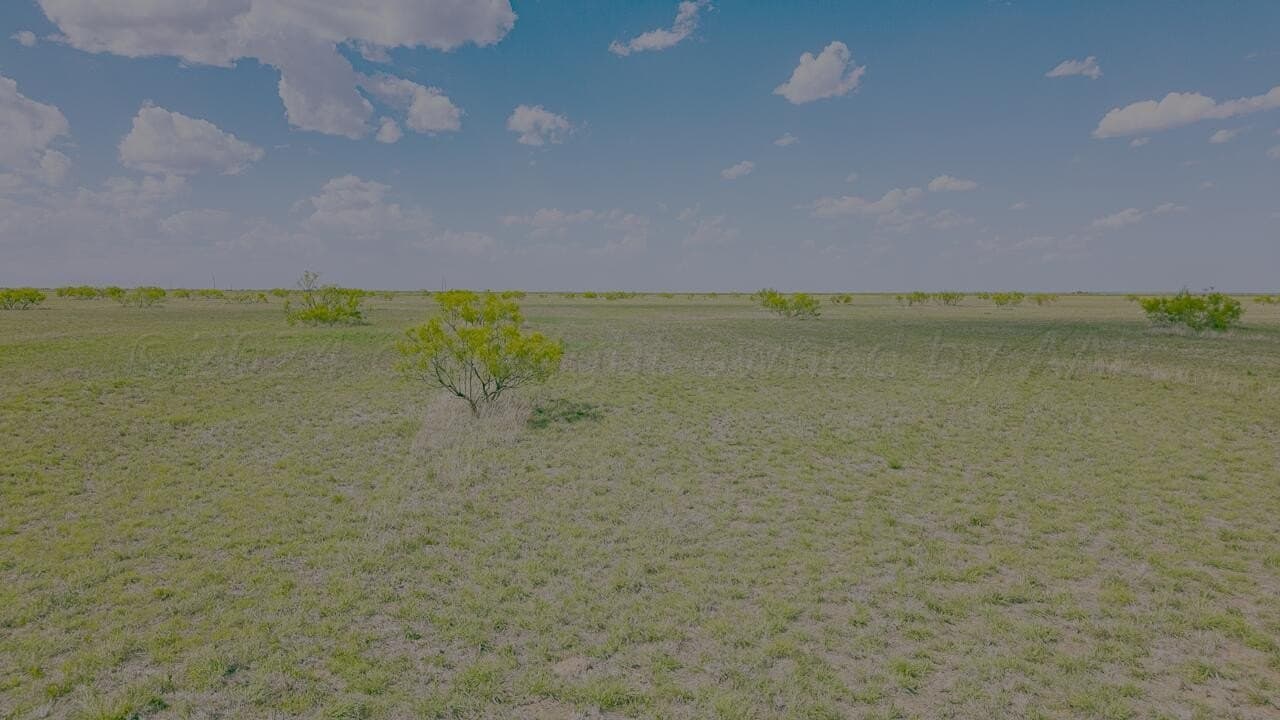 160 acres in Randall County gallery image 2