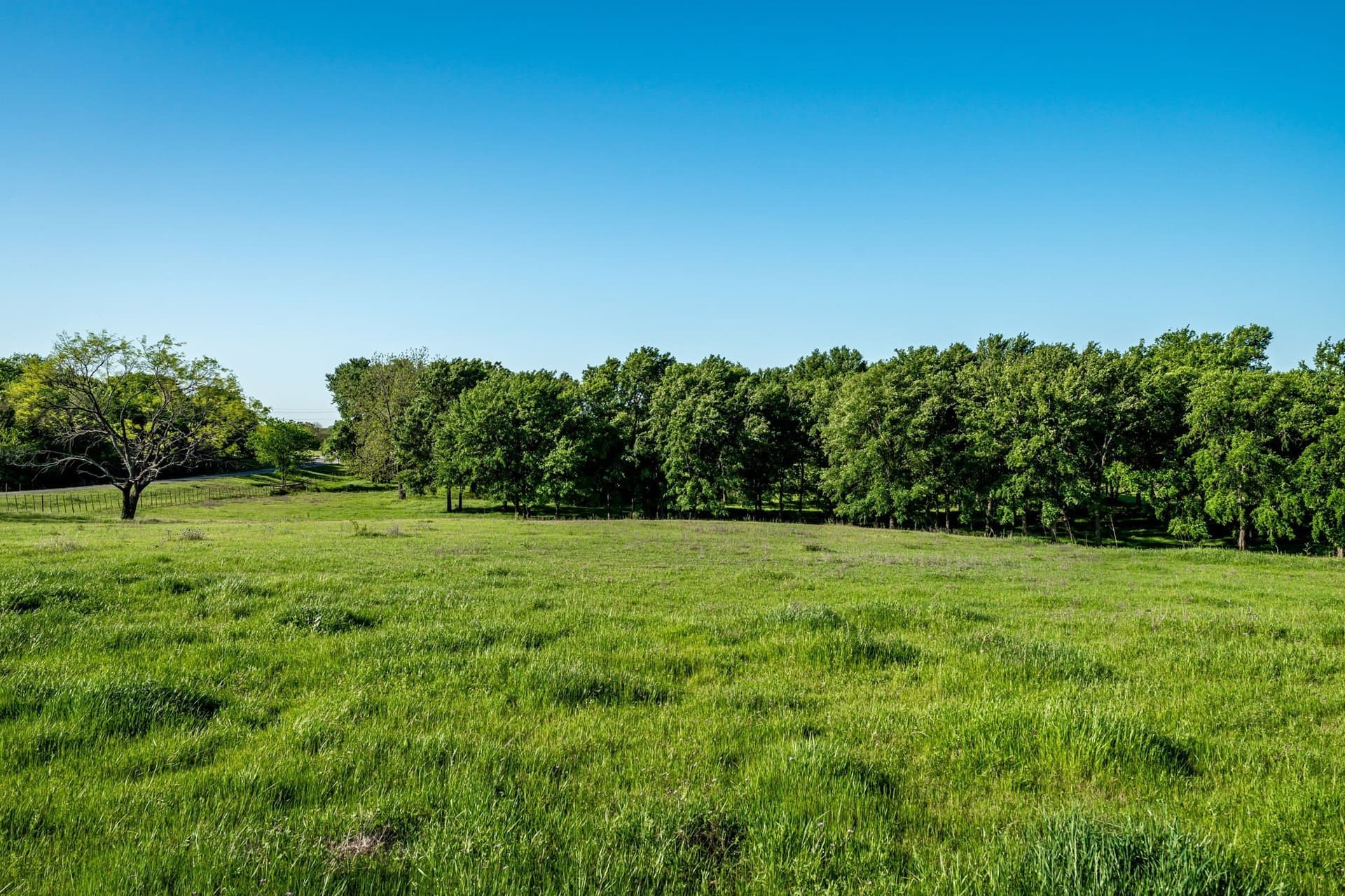 6 acres in Cooke County - photo 7