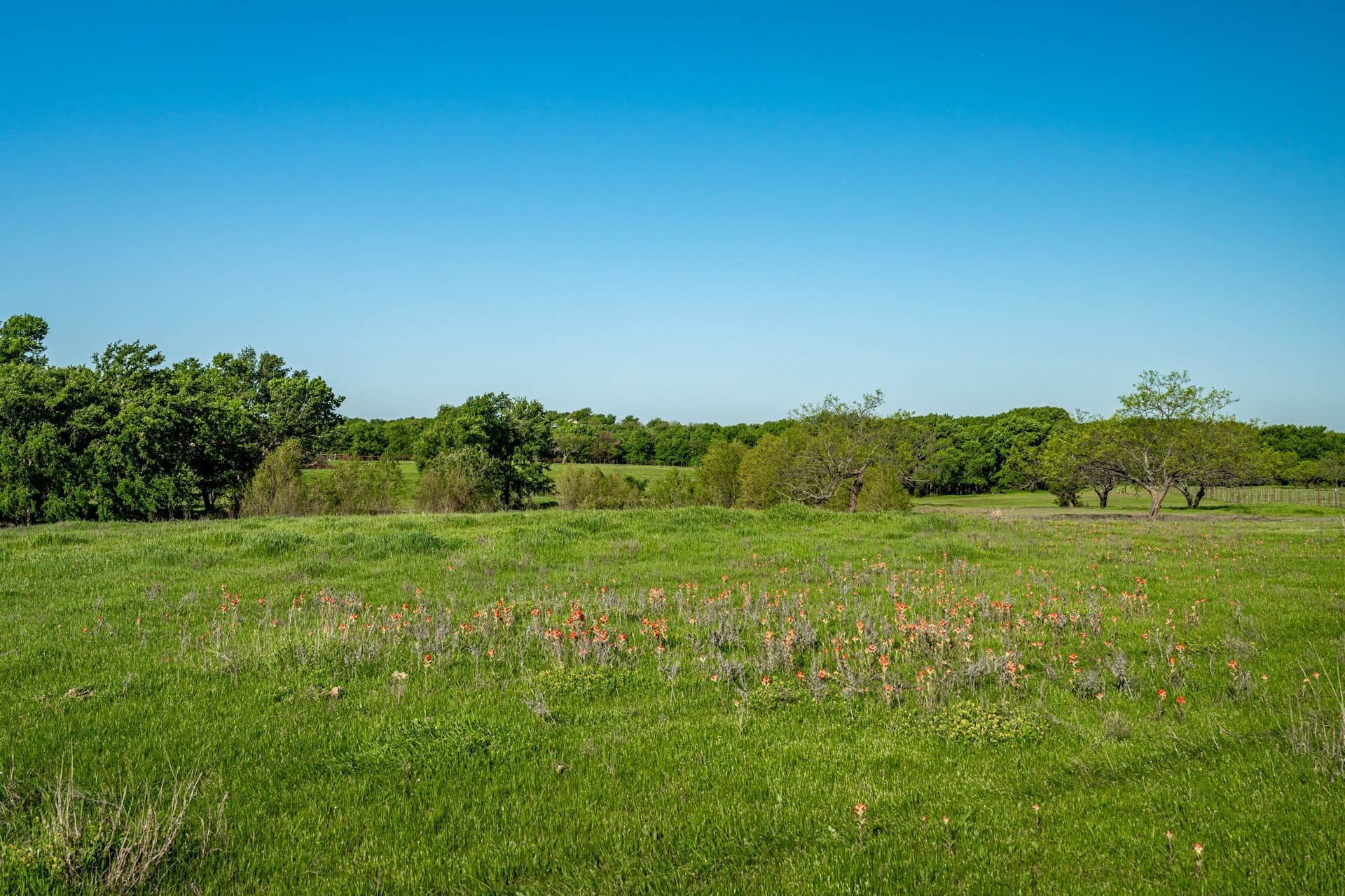6 acres in Cooke County - photo 6