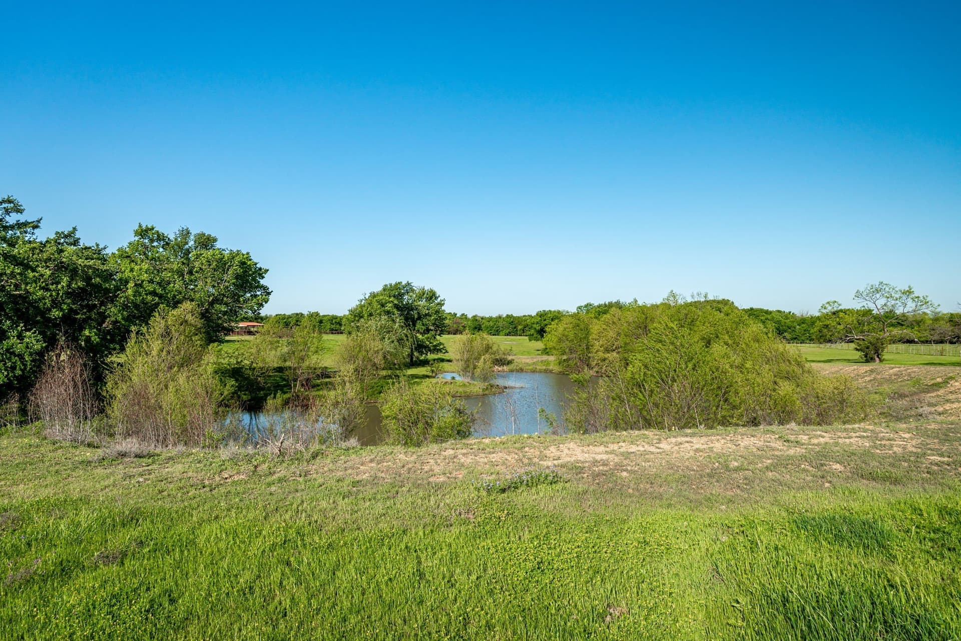 6 acres in Cooke County - photo 8