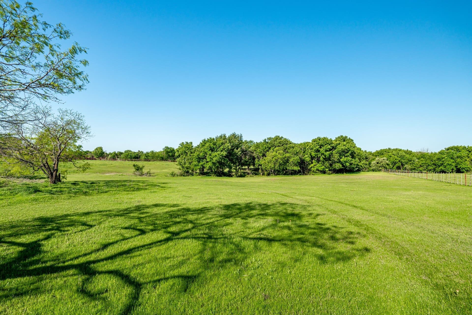 6 acres in Cooke County - photo 10