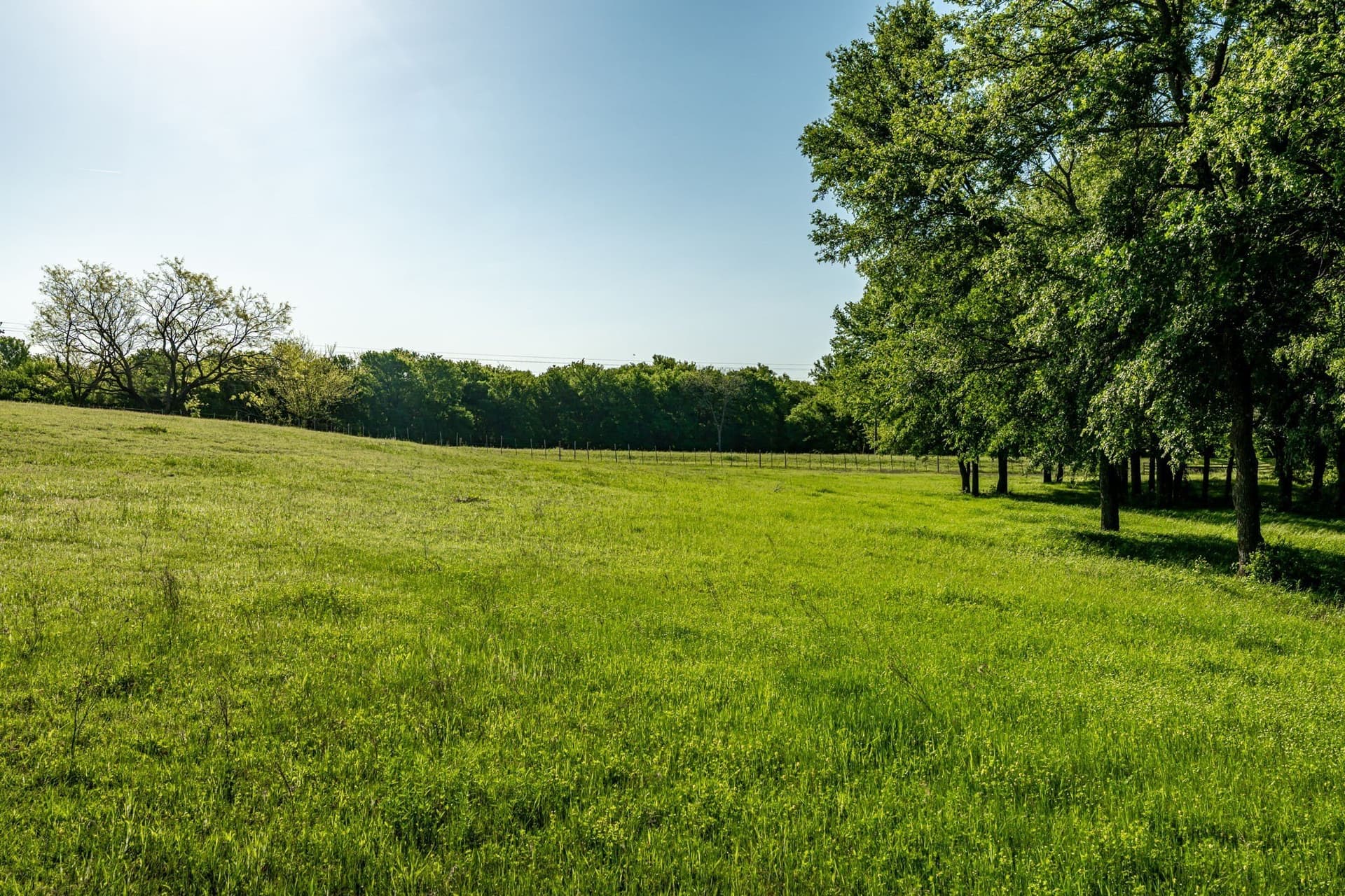 6 acres in Cooke County - photo 9