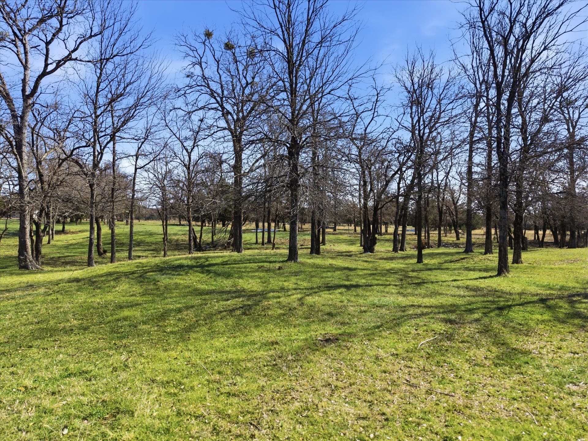 11 acres in Kaufman County - photo 19