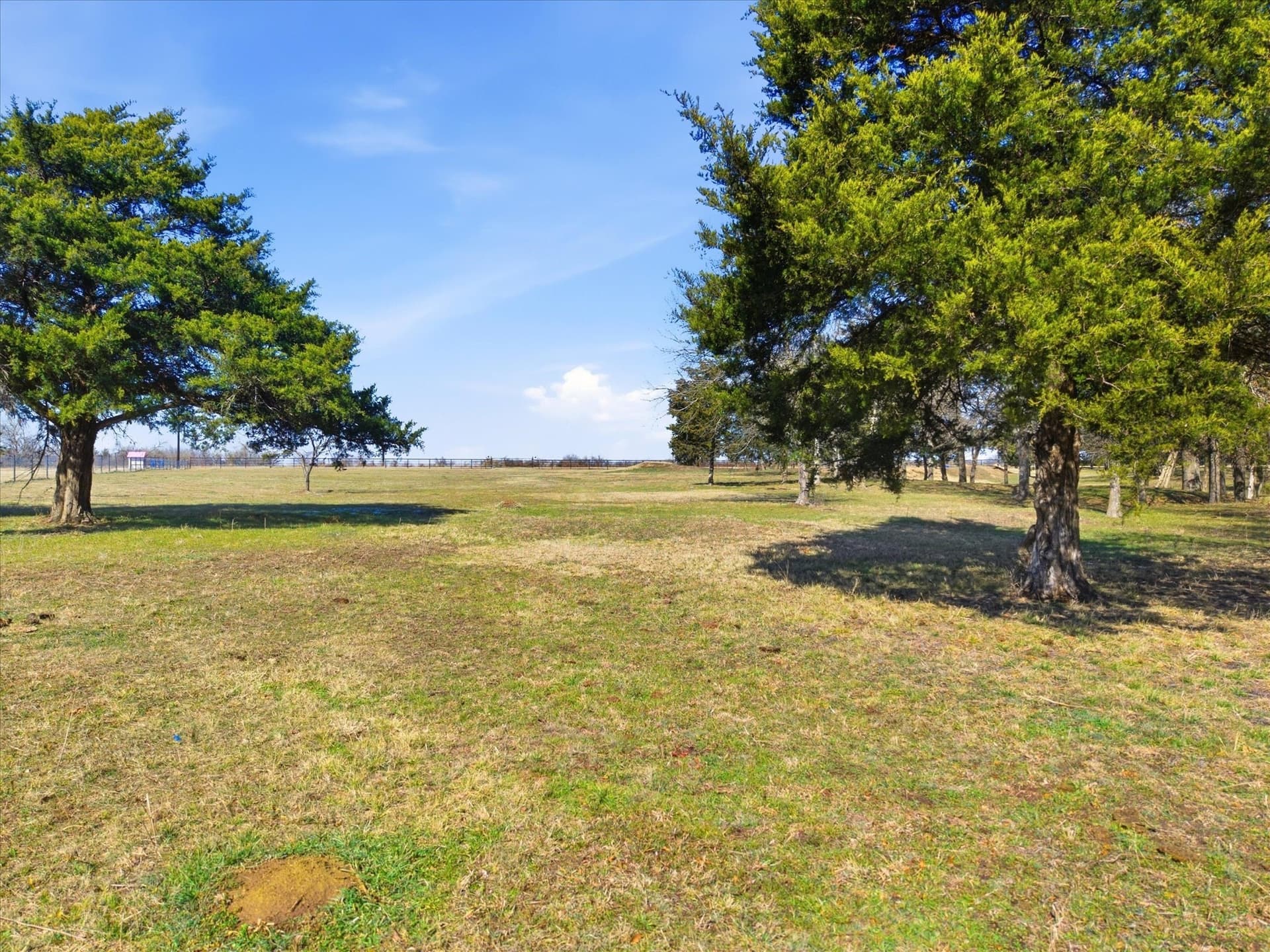 11 acres in Kaufman County - photo 7