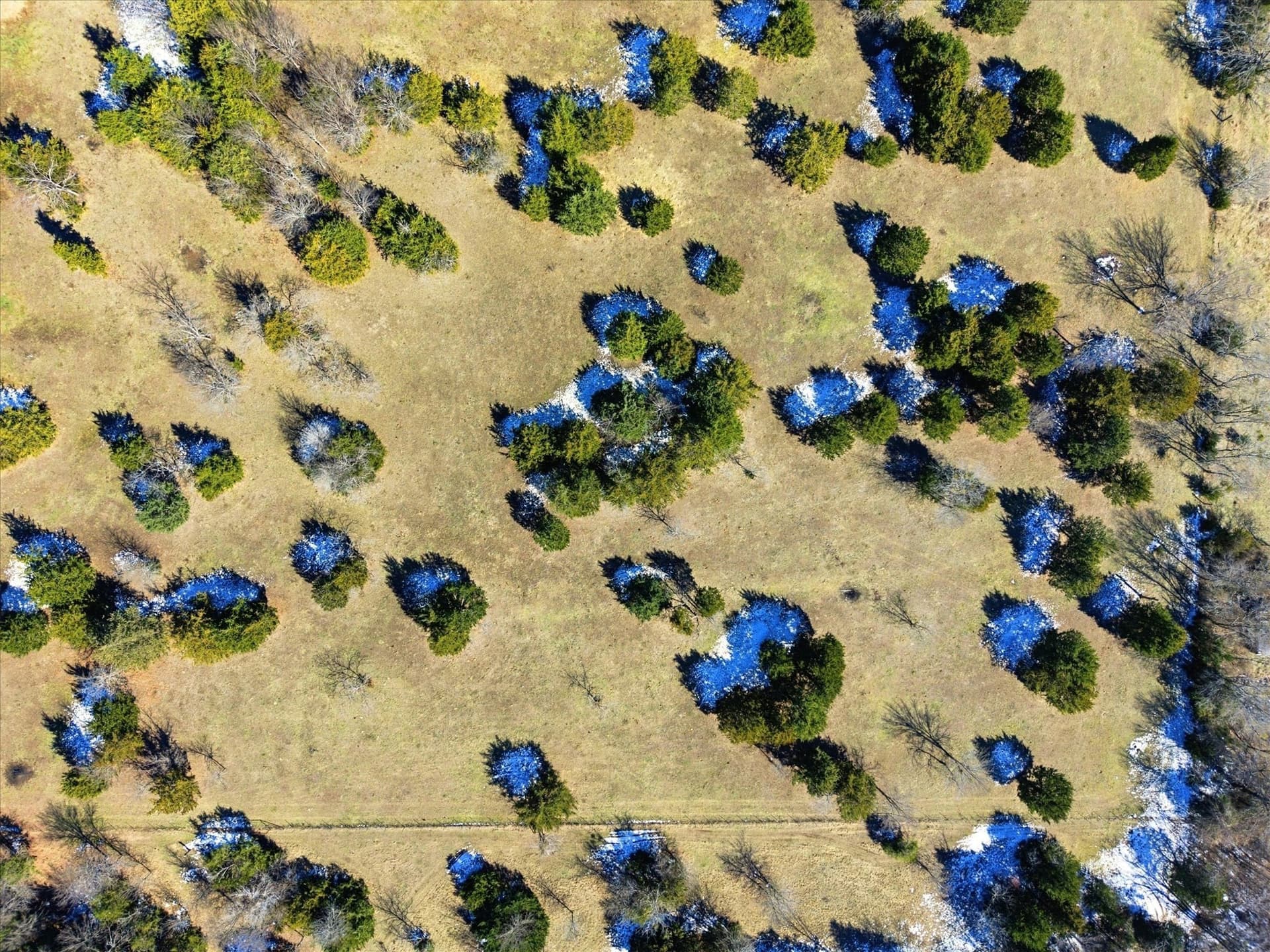 11 acres in Kaufman County - photo 13