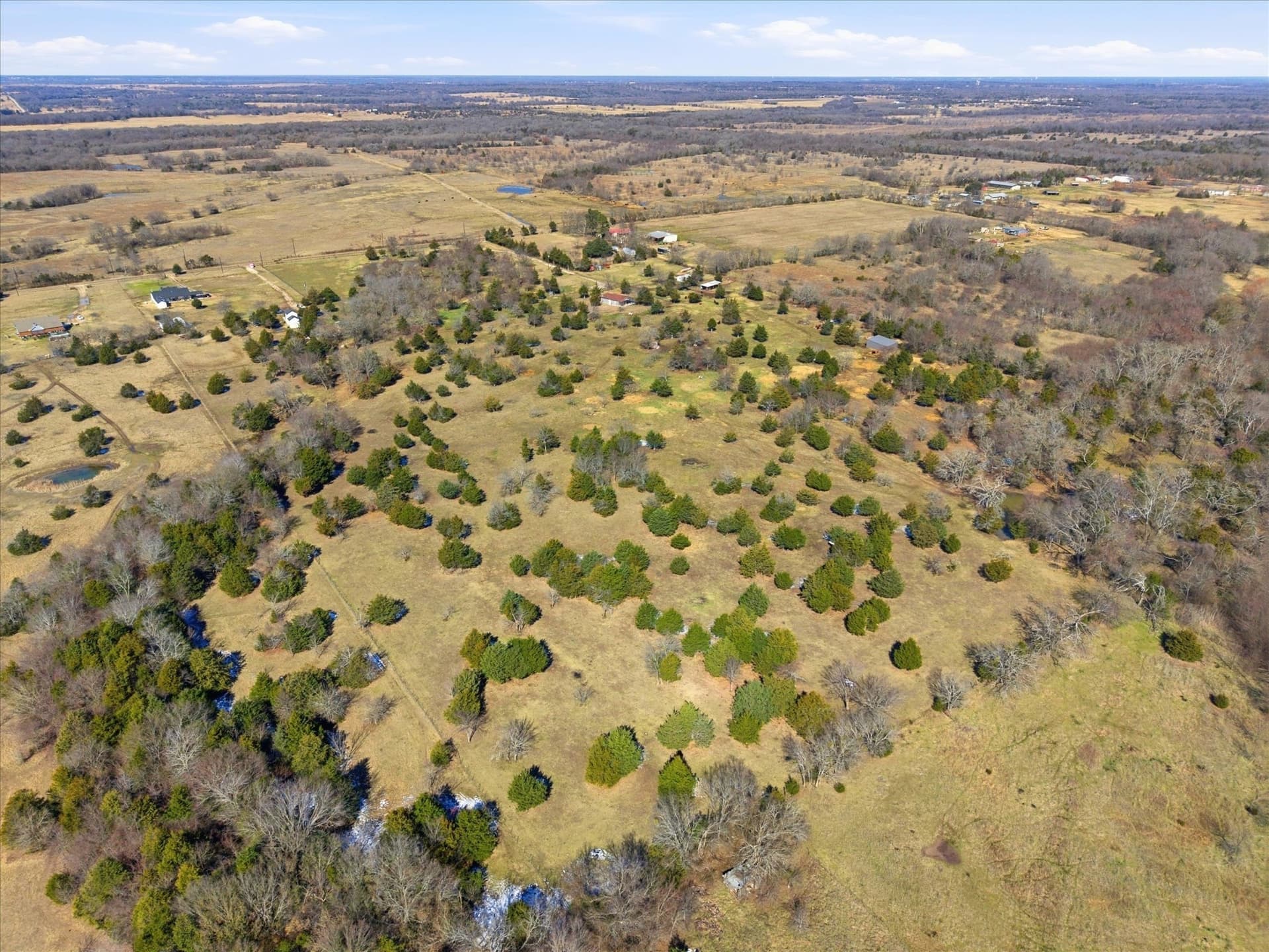 11 acres in Kaufman County - photo 17